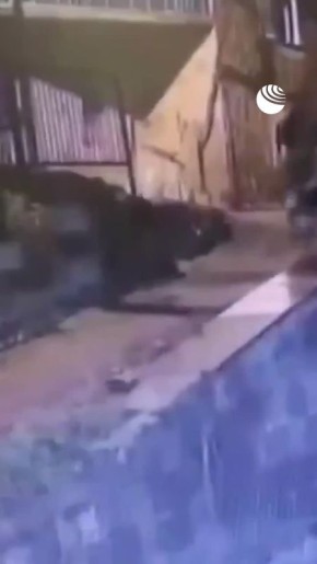 ������� ������� �� ���� ����� ���������� ��������� ����� � ������