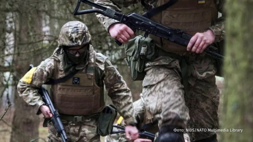 "��� �� ����� ����������� "�������� ����"