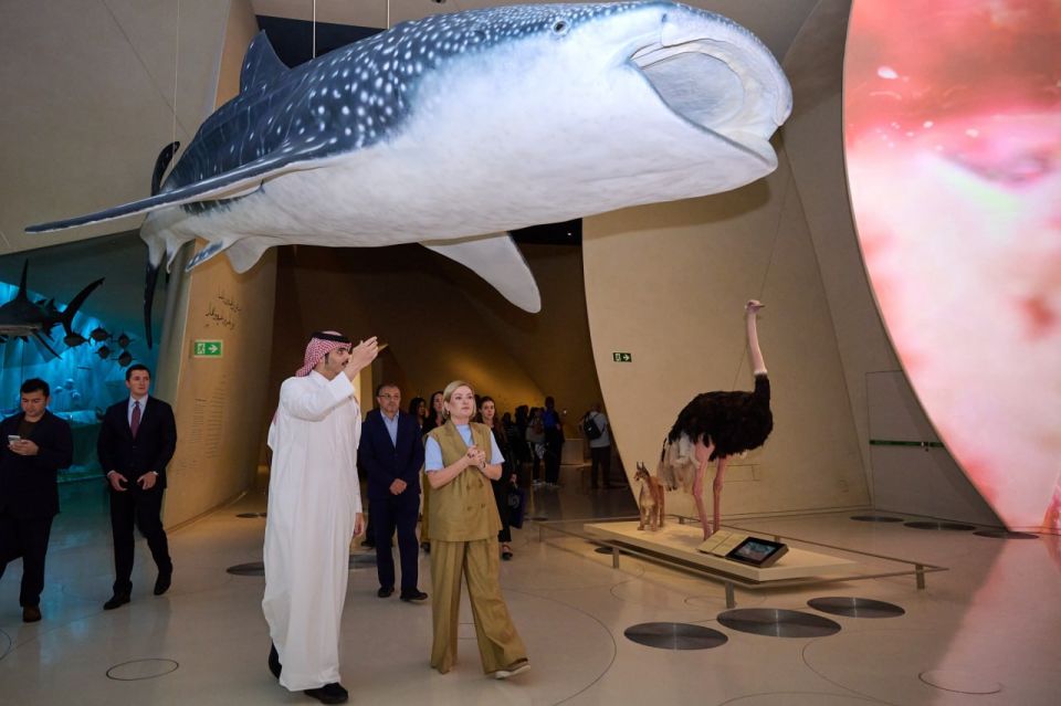 ����� ������ ����� ����� �������� ���������� ���������� ����������� ��������