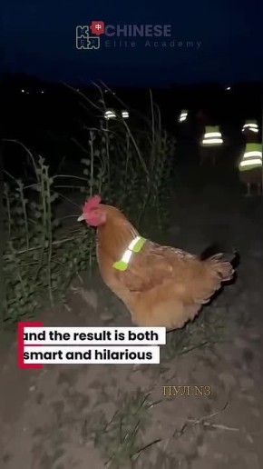 ������������ �� ������������ ������� �����: