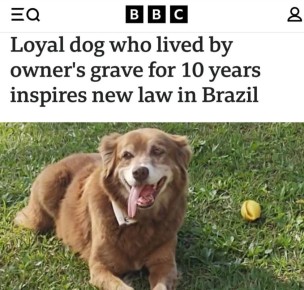 ������� ���, ��������� � ������ ������� 10 ���, ��������� ���������� �� �������� ������ ������: � �������� ����� ������ ����� �������� ������ � ��������