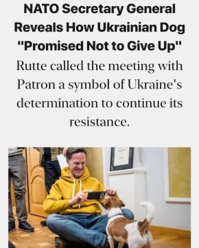 ������ ���� ����� ��������� �� ����������� �� ������������ ������� � ����� �������� ������ � ���������� �������