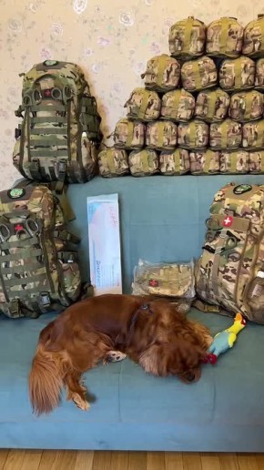 ���� ��������: ���� ���� - ������ �� ���� �������