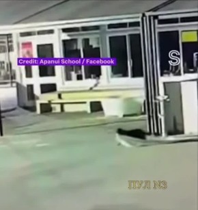 � ����� �������� ���� �������� �������� �����: