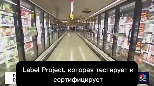 Ученые выявили опасные вещества в собачьем корме 79 популярнейших брендов: