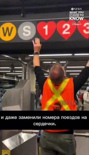 ����� ������� ������ �� ������: