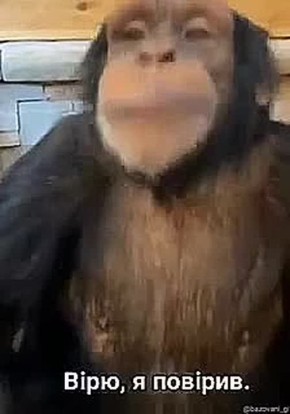 Юлия Витязева: Владелец элитной недвижимости в Дубае, харьковский народный депутат Вениславский: «до 5% конфликтов с ТЦК являются реальными, остальные — «квази-сюжеты», созданные Россией с помощью ИИ для дискредитации...