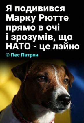 ���� ��������: ��� ������ ������� ������� ����: �� ��������� � ����� ����� ����� ����� � ����� � �����, ��� ���� - ��� ������