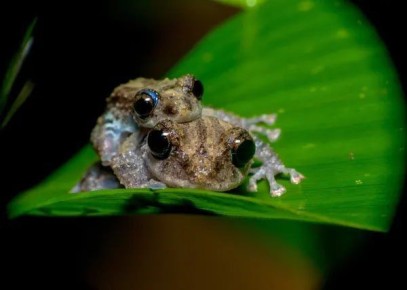 ������ ����������: ��������� ��� ���� ���� ����������� ���� ������������, ������� � 200 ��� ������� �������