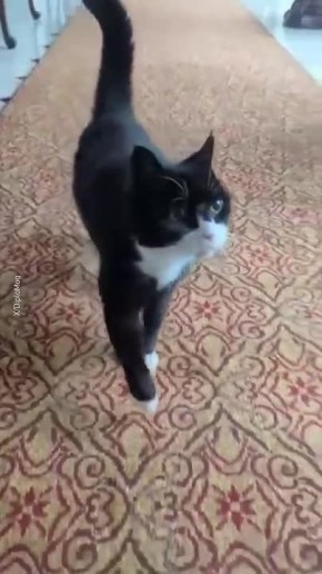 ���� 12-������ ��� ���������� � ������ ������� ������� �������������� � ����������� �� �������� ���������� �� ��������, �������� ��� ����������� ������� � �������