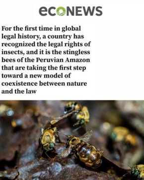 �������� � ������� ����������� �������� ����������� �������� �� ���������� �������� ������: � ���� ���� �������� ������� - ������ ���� ����� ������ ��� �� �� �����, ���� �� ������ ���������