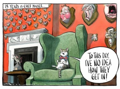 ���� �� �������, ��� ��� ���� ���������!�: