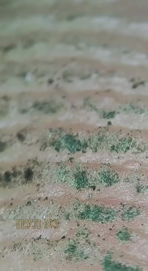 ���������� ��� ���, ��� �� ����� ���� ����: