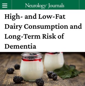 ��������� � ������� � ������ ����������� ����: �������, ������� � ������� ������� �������� ���� �������� ��������