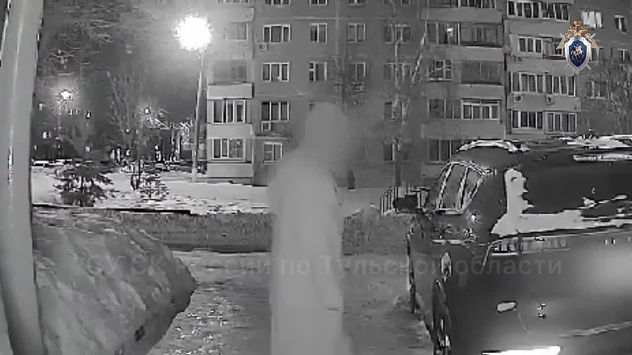 Камера домофона записала, как жительница Новомосковска случайно убила своего знакомого