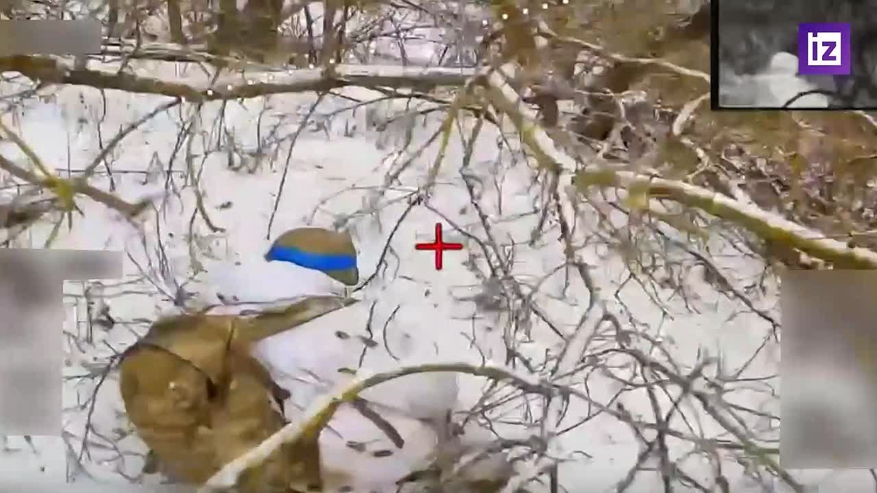 Кадры освобождения населенного пункта Покровка в Сумской области опубликовало Минобороны РФ