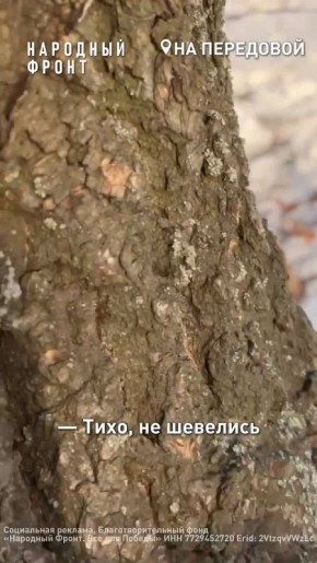 ������ ��������� ��� �������� �������� ����