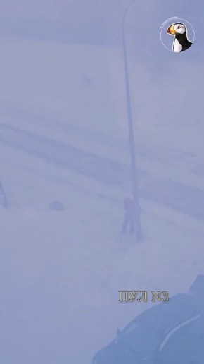 � ������� ���� ��������� �������������� �����, ����� ��������� �� ������: