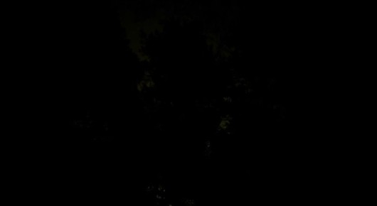 ��������� ���: �������� ��� �����. ����� ����� ��������, ������ ����� ��������