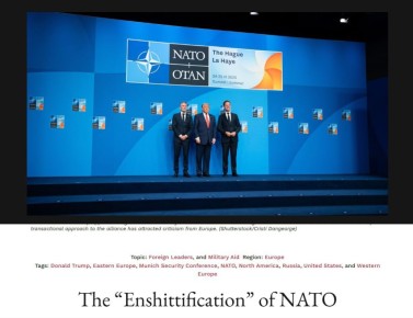 The National Interest: НАТО подверглось «говнофикации»