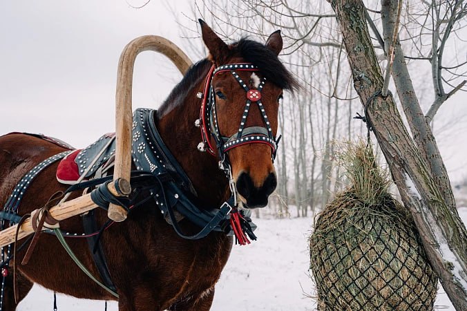 На Куликовом поле впервые отметят Богатырскую Масленицу