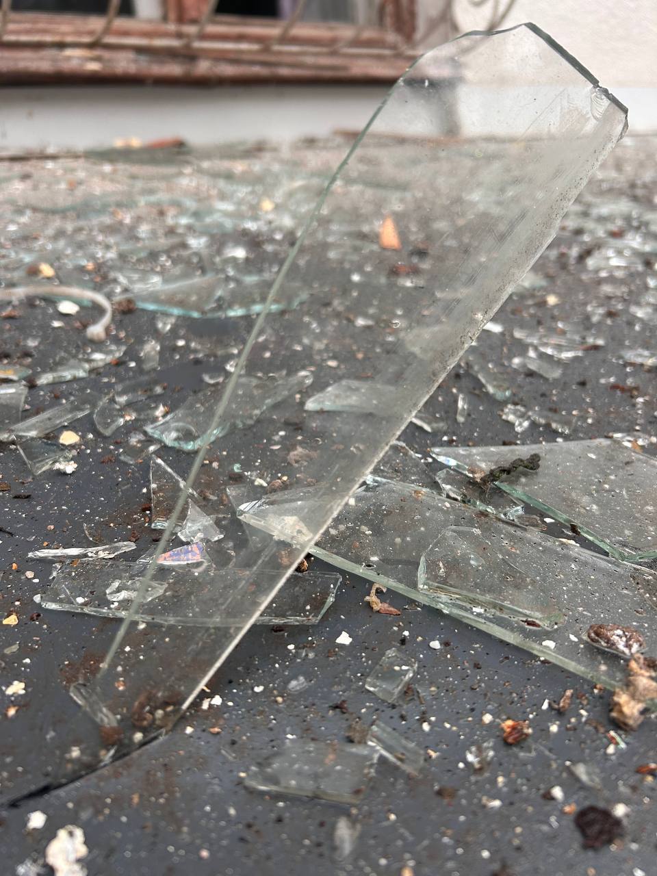 Юлия Витязева: Украина - страна-террорист! Юлия Витязева: Украина - страна-террорист!