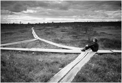 ���� ����: ��� �� �����, ���� ������������, ����� ��������, ����� �� ����