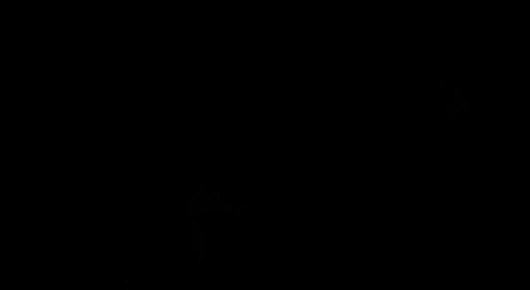 ��������� ���: ����� �������� ������� ���������