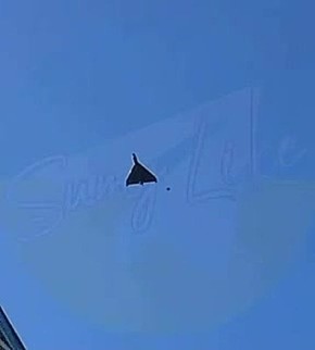 ��� �� ������ ������������� FPV-����� �� �������