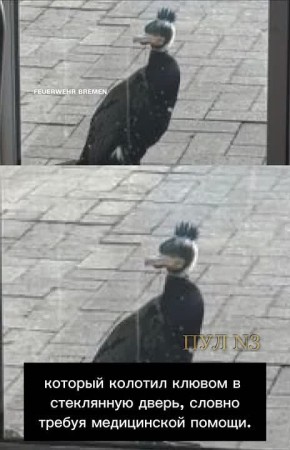 � �������� ������ ��� �������� � ��������, ����� ��������� ������ � ������: