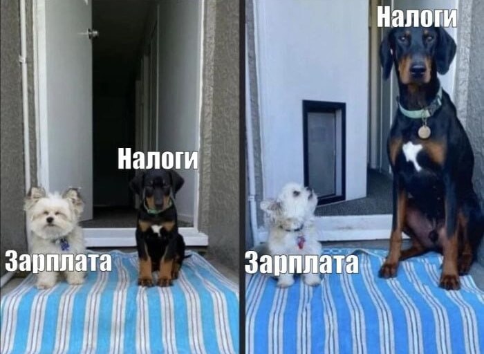 Инфляция в январе ускорилась почти во всех регионах страны