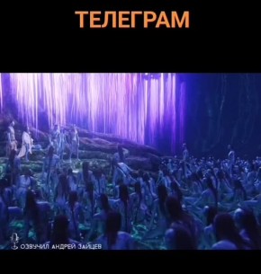 В сети шутят. Олег Царёв. Telegram и Max