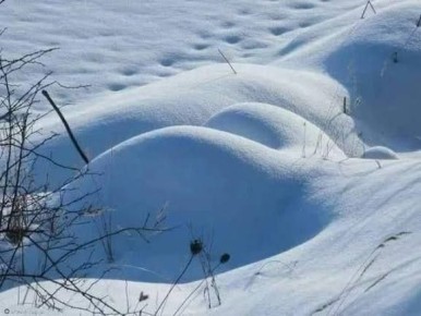 ������ ����������: � ��� �������, ����� ���� �� �����