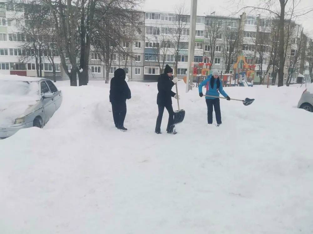 Когда соседи становятся друзьями! Когда соседи становятся друзьями!