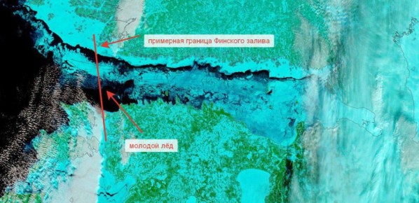Лед покрыл всю акваторию Финского залива, сообщил начальник Гидрометцентра Петербурга и Ленобласти Александр Колесов