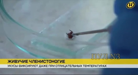 ���������� ��� ��������� ����� � ��� ����� �������� ��������� � � ������: