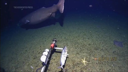 ����� ������� ������ � �������� ������ � ����������: