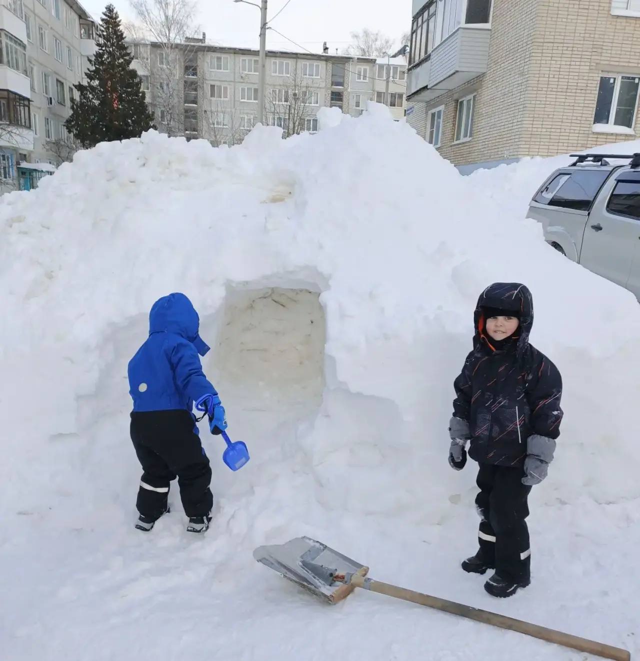 Когда соседи становятся друзьями! Когда соседи становятся друзьями!
