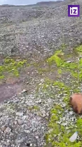 ����� ������ ����� �� ������� �������� � ���������� ���������� ���� ������, ������� �������������� Ը��� �������