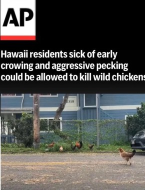 ������� ������� ������ �� ������ �� ����� � �������� �������: ������ ����� ��������� ������� ������ ����