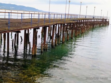 WarGonzo: Раковая шейка. (Сухумская быль)