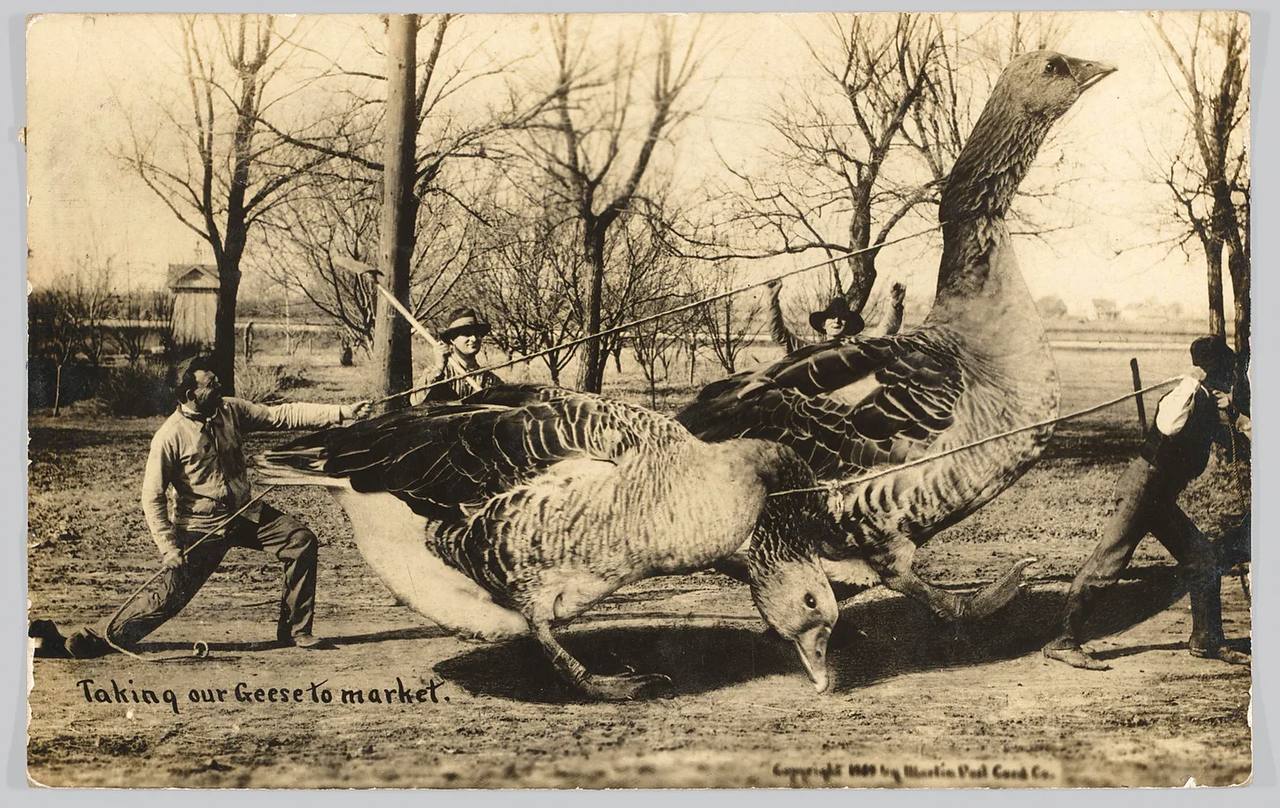 Фейки прошлых веков - за 150 лет до появления фотошопа и ИИ: Фейки прошлых веков - за 150 лет до появления фотошопа и ИИ: