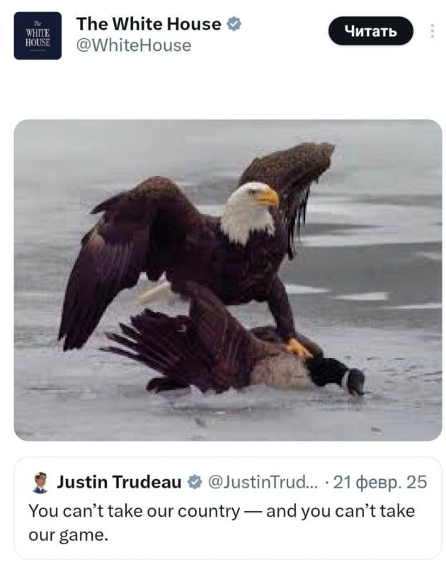 ���� ��������: ������� ������� ������������