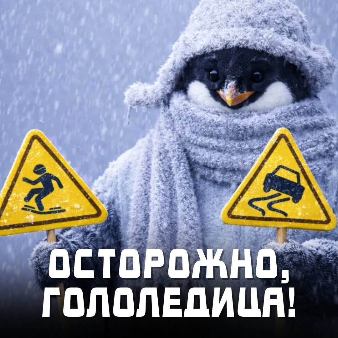Осторожно, сильный ветер и гололедица: соблюдайте правила безопасности