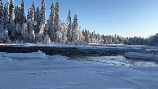 ����� ���. ��������� ����� �� ������������ ��������� � ����� ������� ������ �� ���� ����