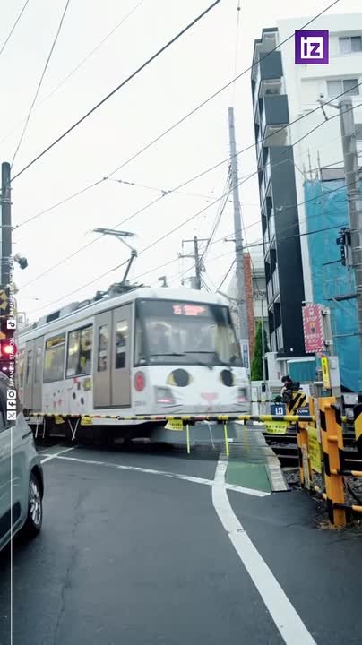 Продукты, одежда и даже поезд в метро отрастили ушки и усики — сегодня в Японии отмечается День кошек