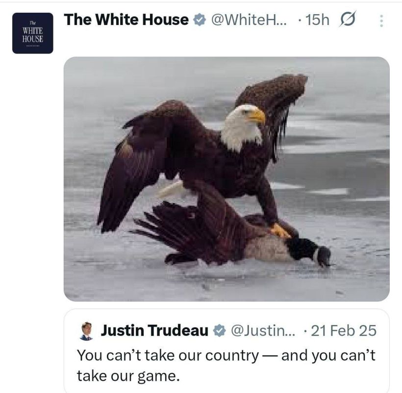 ���� ����: � ����� ��� ����� ������. ����� ��������� ������ ������� ��� �� ������ ��� ������� � ������ ��������� ������������� ������ ������, ��� �������� ������������ ������������