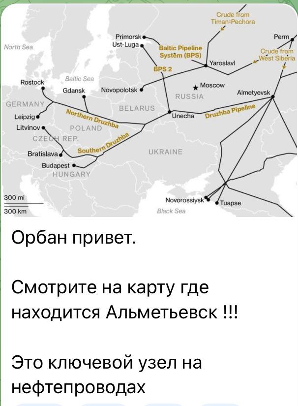 Юлия Витязева: Необучаемые идиоты шлют привет Орбану, а потом удивляются, почему Венгрия не любит Украину