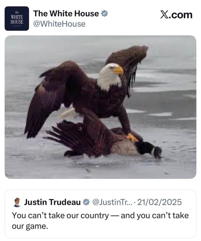 ����� ��� ������� �� ���� ���-�������� ������ ����� ��� �� ������� ������ ���� ������ - � �� �� ������� ������ ���� ���� ����� ������ ������� ��� �� ��������� ��� ���������