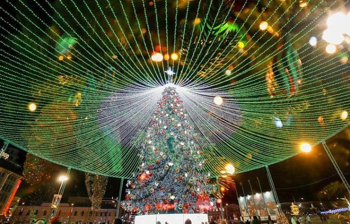 � ������ ���� ����� ���� �� ������� ������ � ���� ������ ���������